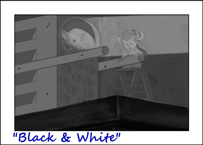 Black and White
