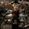 [avatar]